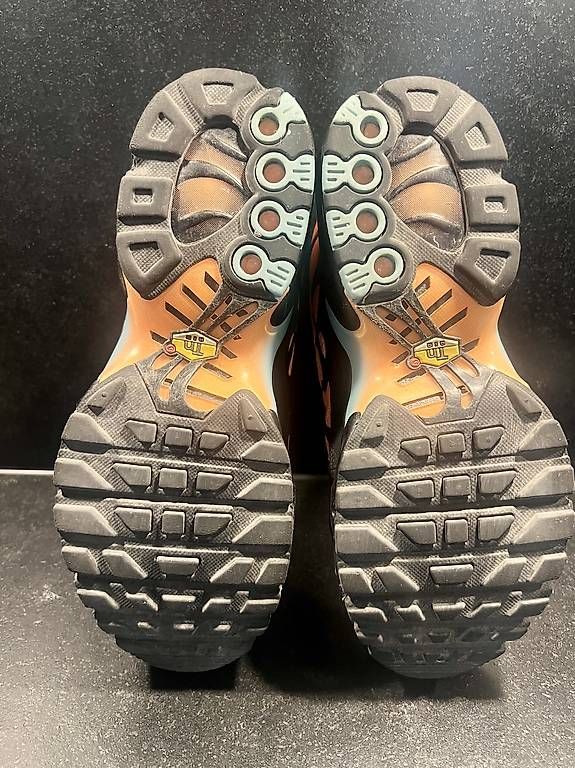 Nike Herrenschuhe: Nike Air Max Plus TN – Gebraucht aus Rümlang von topo5 1