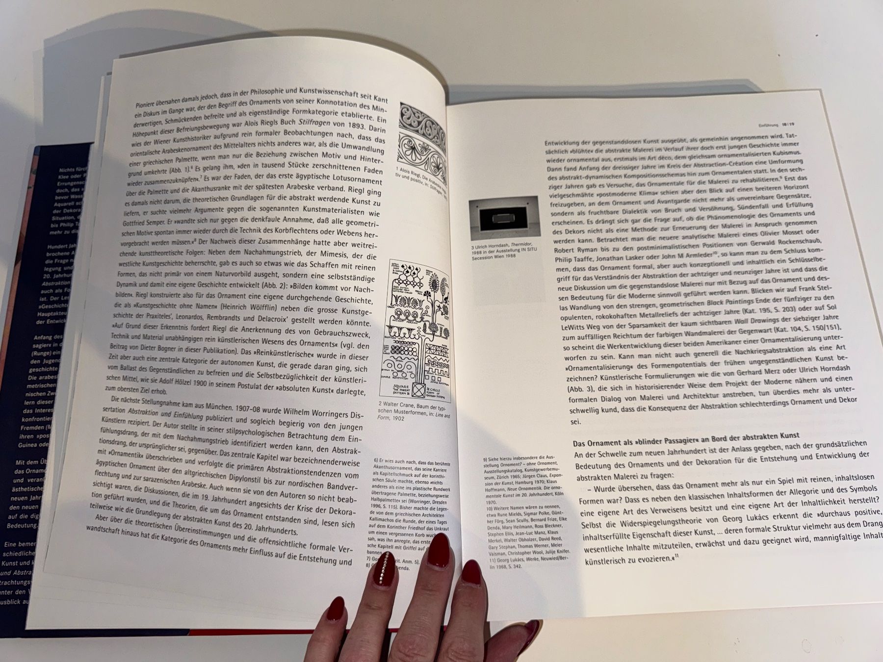 Libri: BUCH: Ornament und Abstraktion – Usato da Grosswangen venduto da Second_hand_paradise 3