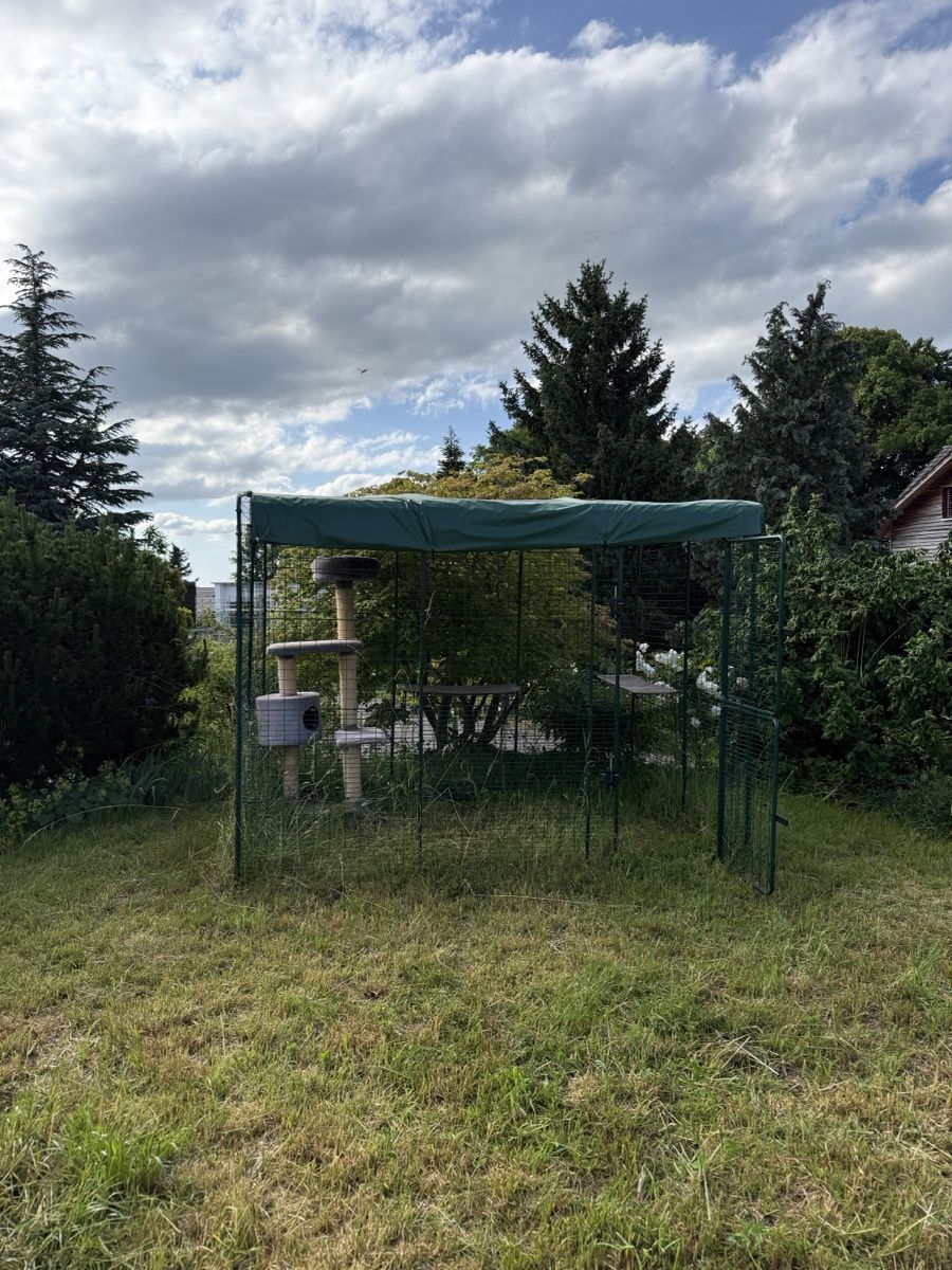 Omlet Gabbie, trasporto & Sicurezza: Omlet Gehege Käfig Katzen Kleintiere – Usato da Kirchberg SG venduto da dpRepairs