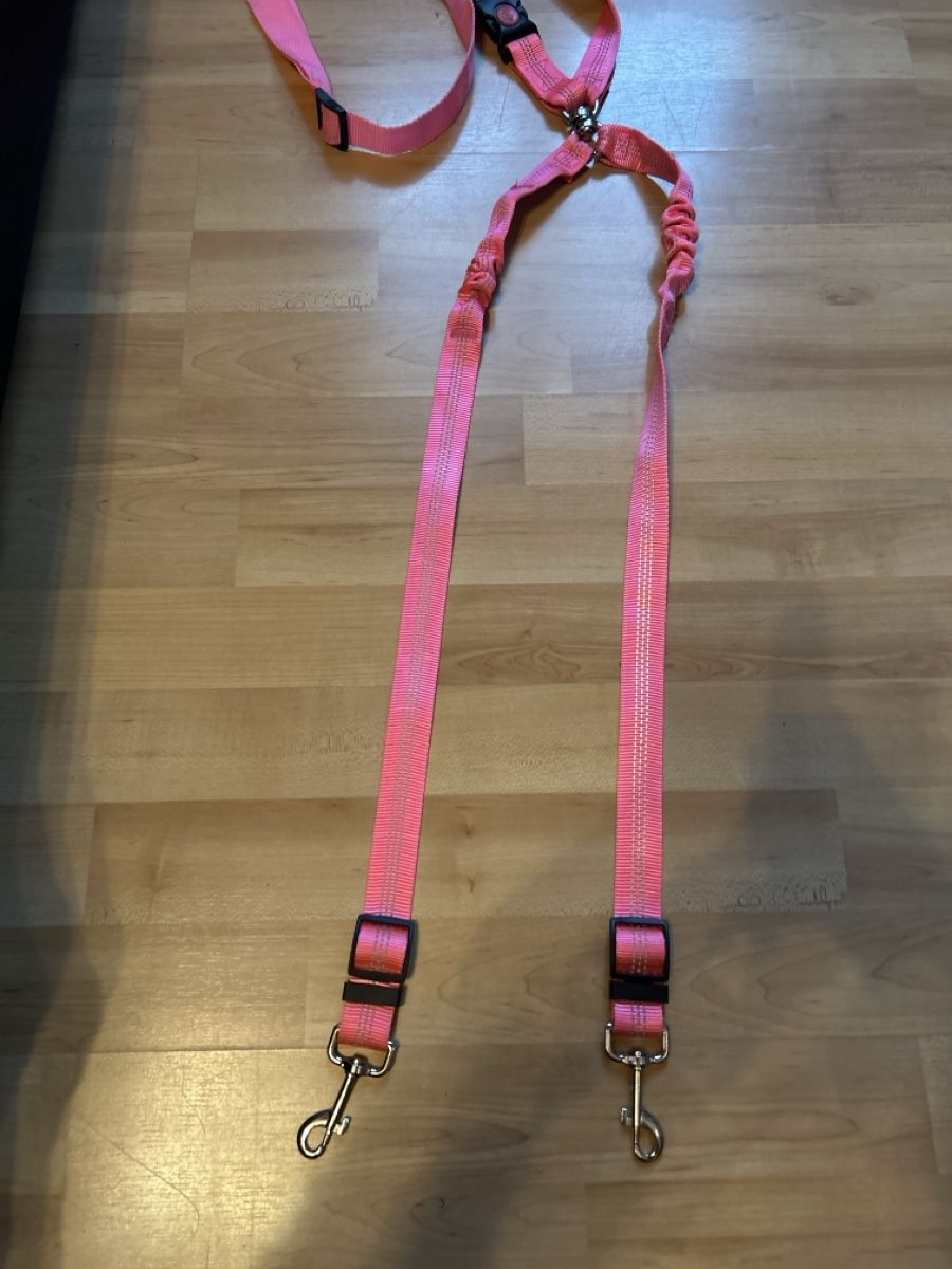 Guinzagli & Collari: Doppel Hunde Jogging Leine, Rosa – Usato da Mühledorf SO venduto da Dania77 3