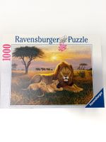 Puzzle 1000 - Löwen