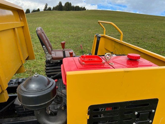 Toutes les machines: Raupenkipper/Dumper 3 to Ladegewicht – Neuf (Voir description) à Küblis par Ibbb 4