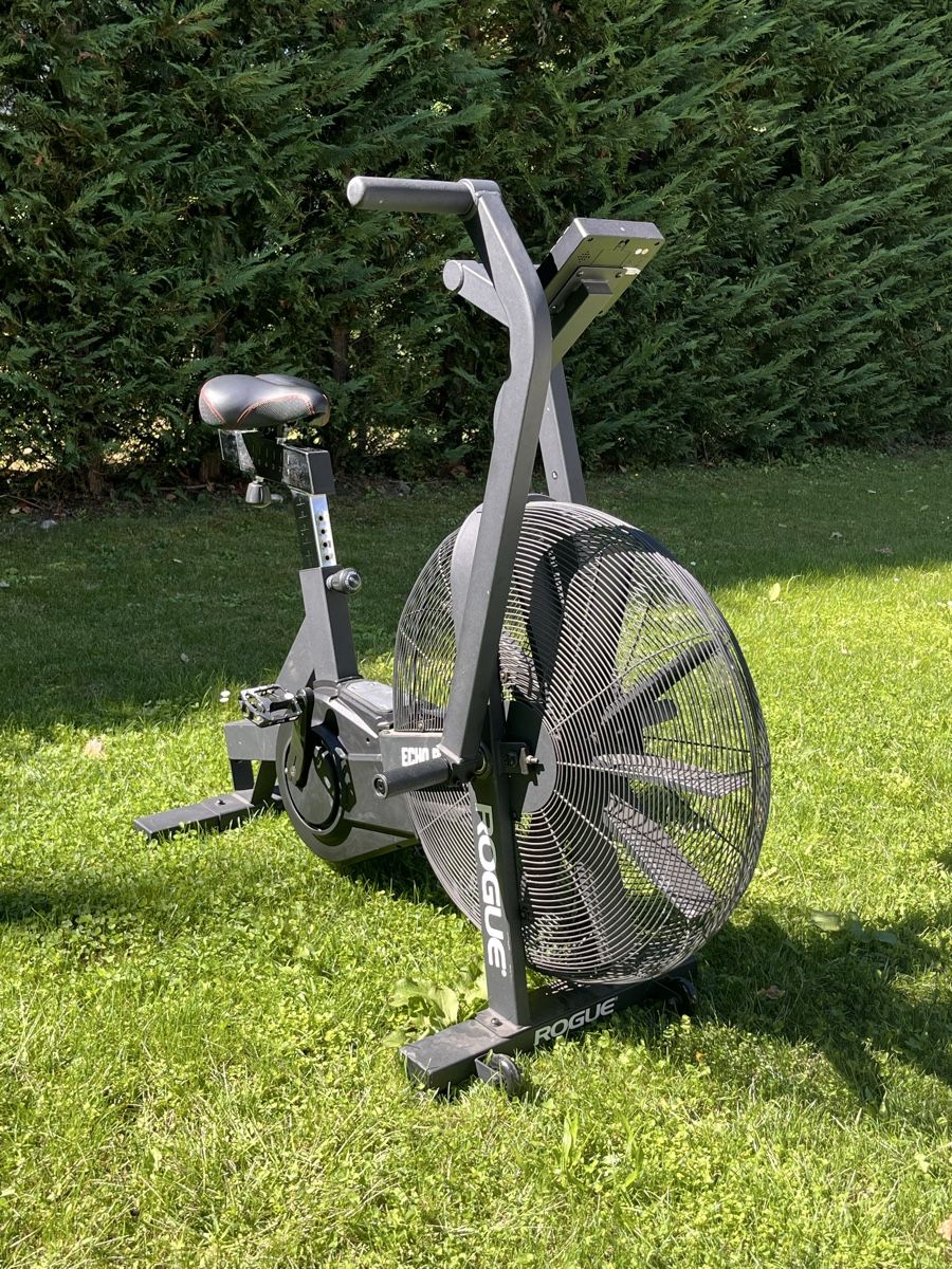 Rogue Hometrainer: Rogue echo bike  – Usato da Collonge-Bellerive venduto da ola_69vq 1