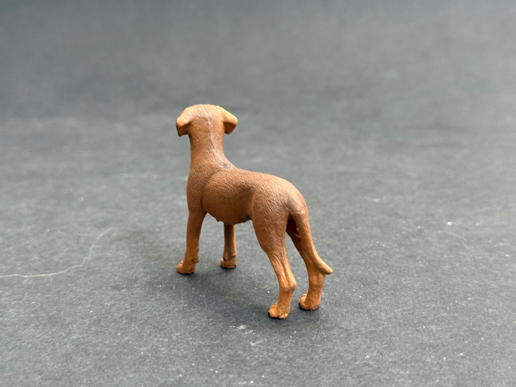 Schleich Figuren: Schleich Rhodesian Ridgeback Hund – Neu (gemäss Beschreibung) aus Ennetbaden von mapa05 5