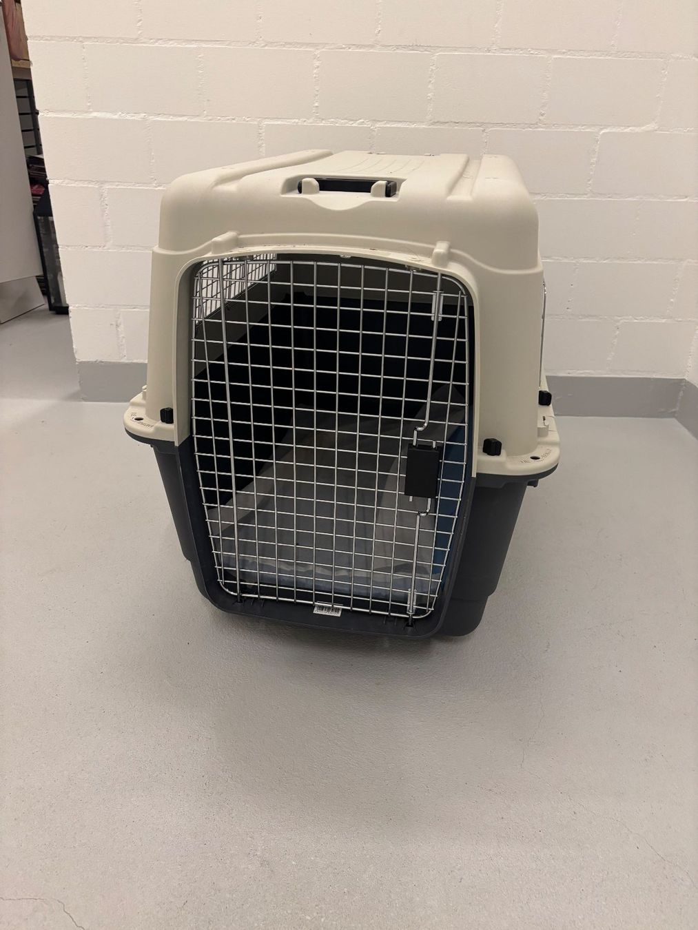 Gabbie, trasporto & Sicurezza: Hundebox – Usato da Pfäffikon ZH venduto da R-Jako 1