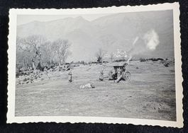 ARMEE ARTILLERIE BATTERIE GESCHÜTZ BEI SCHUSS ABGABE
