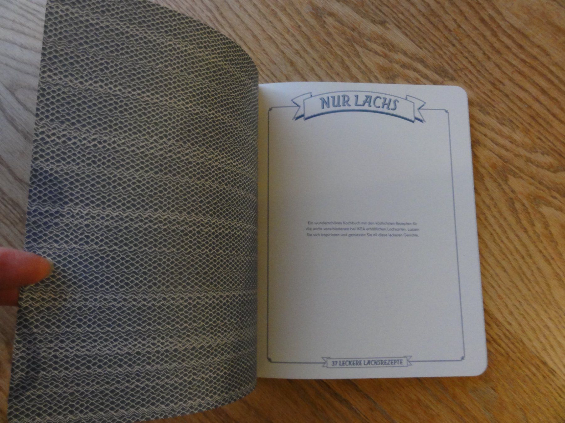 Libri: Kochbuch: Nur Lachs, neu! – Nuovo (secondo la descrizione) da Riedholz venduto da Taweva 1