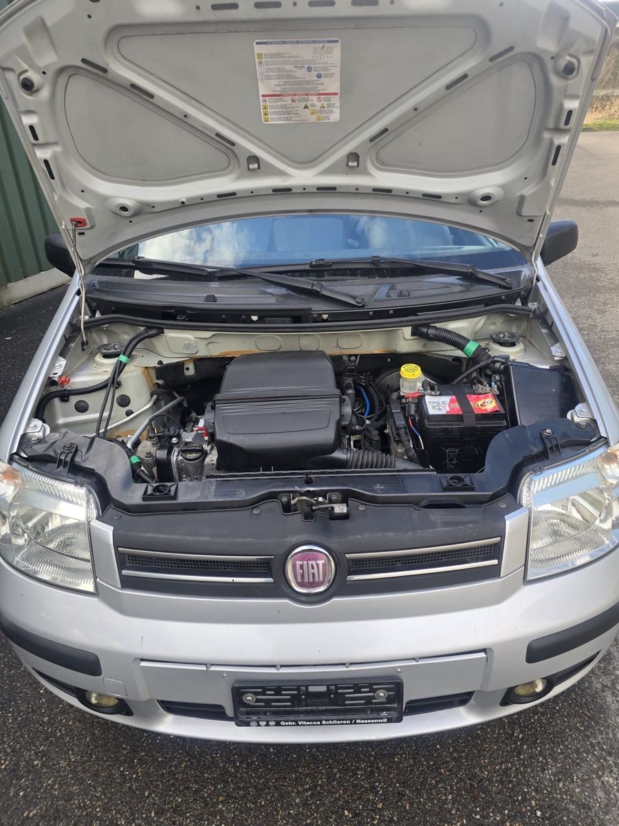 Fiat Automobili: Fiat Panda 1.2 Active ab MFK und Service – Usato da Dietikon venduto da lofra 3