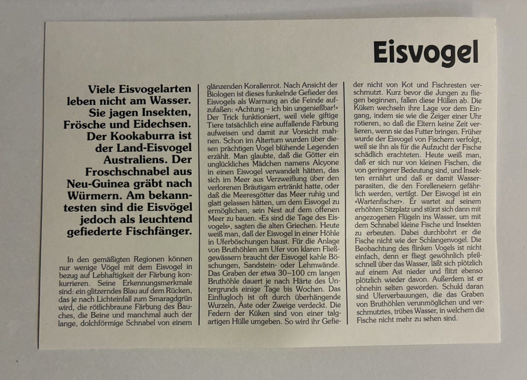 Tutti le monete: Münzbrief "Eisvogel* 1995 – Usato da Hätzingen venduto da bar_g6zj 2
