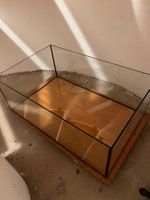 Terrarium