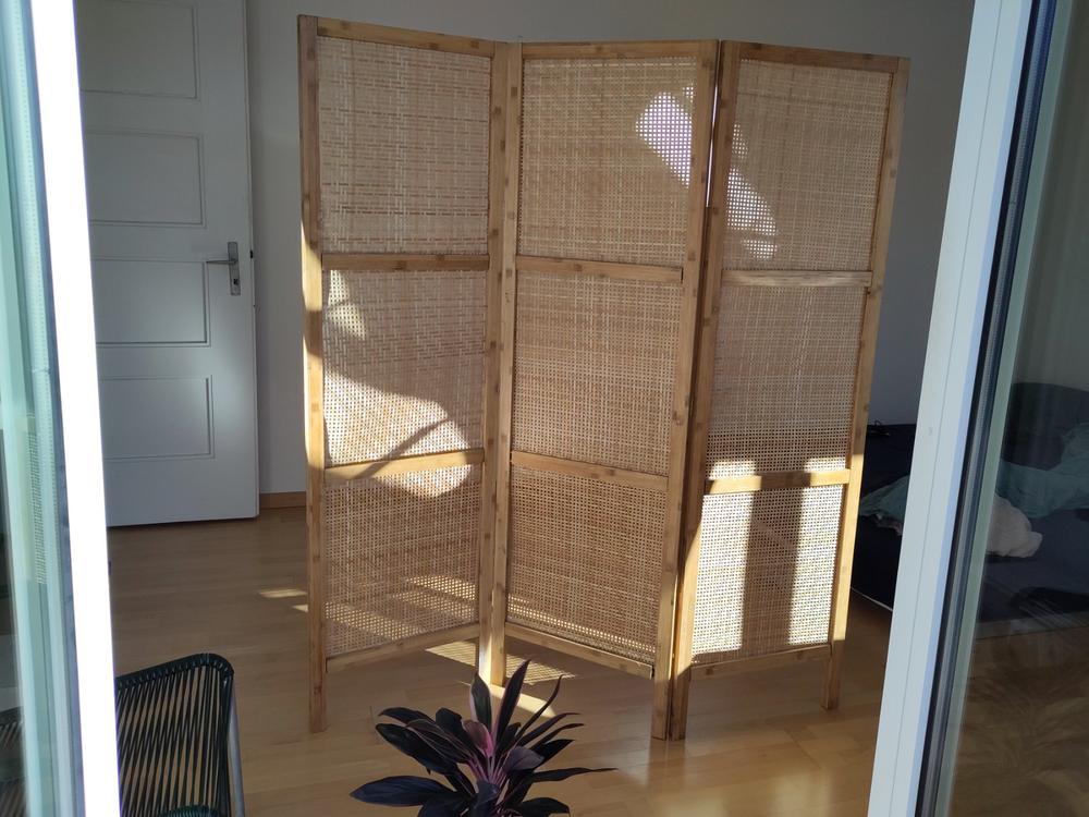 Paravent (Gebraucht) in Zürich für CHF 24 – nur Abholung auf Ricardo kaufen