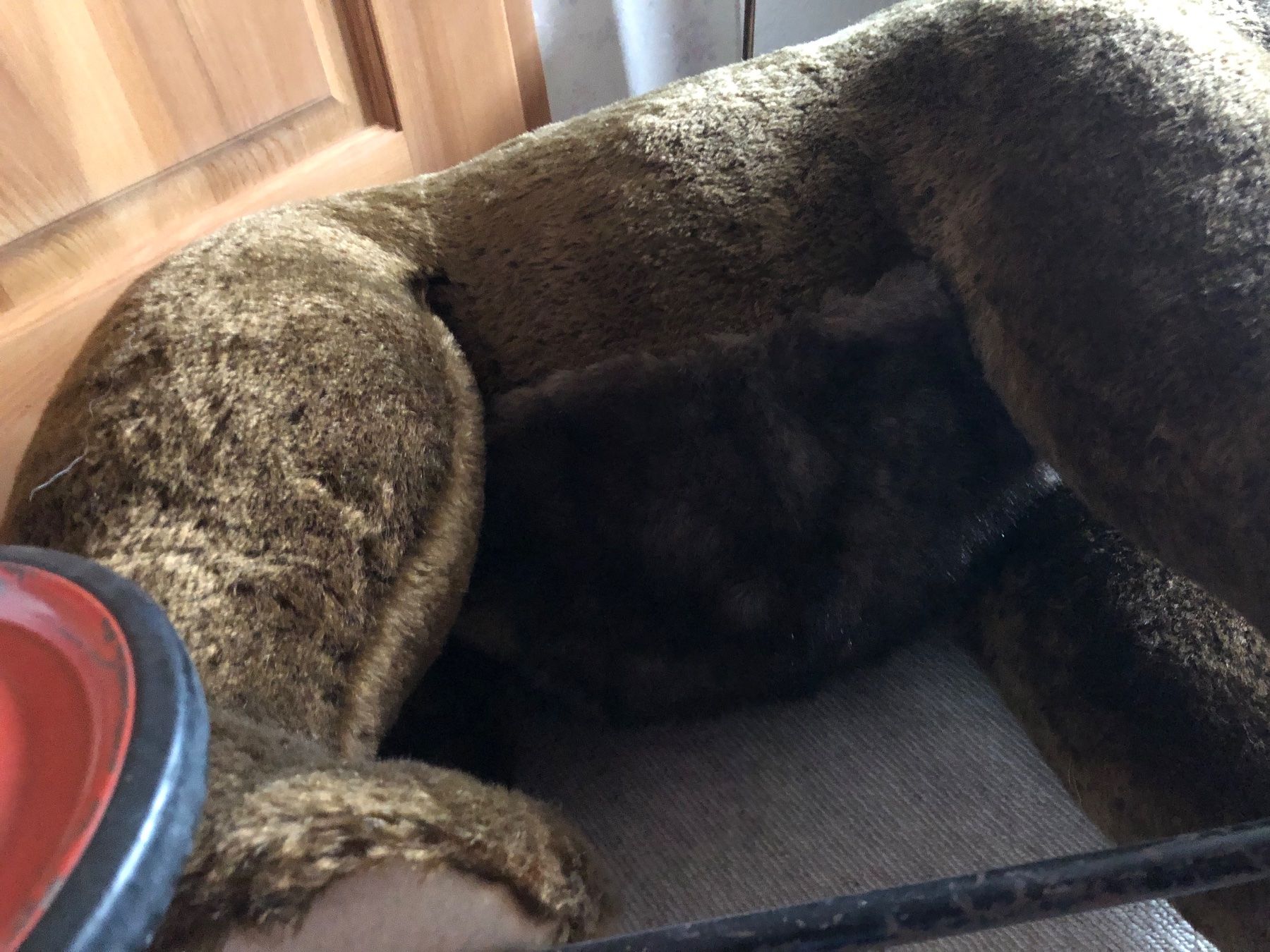 Steiff Giocattoli: Grosser alter Steiffbär auf Rädern – Usato da Engelburg venduto da vgr_2kyp 6