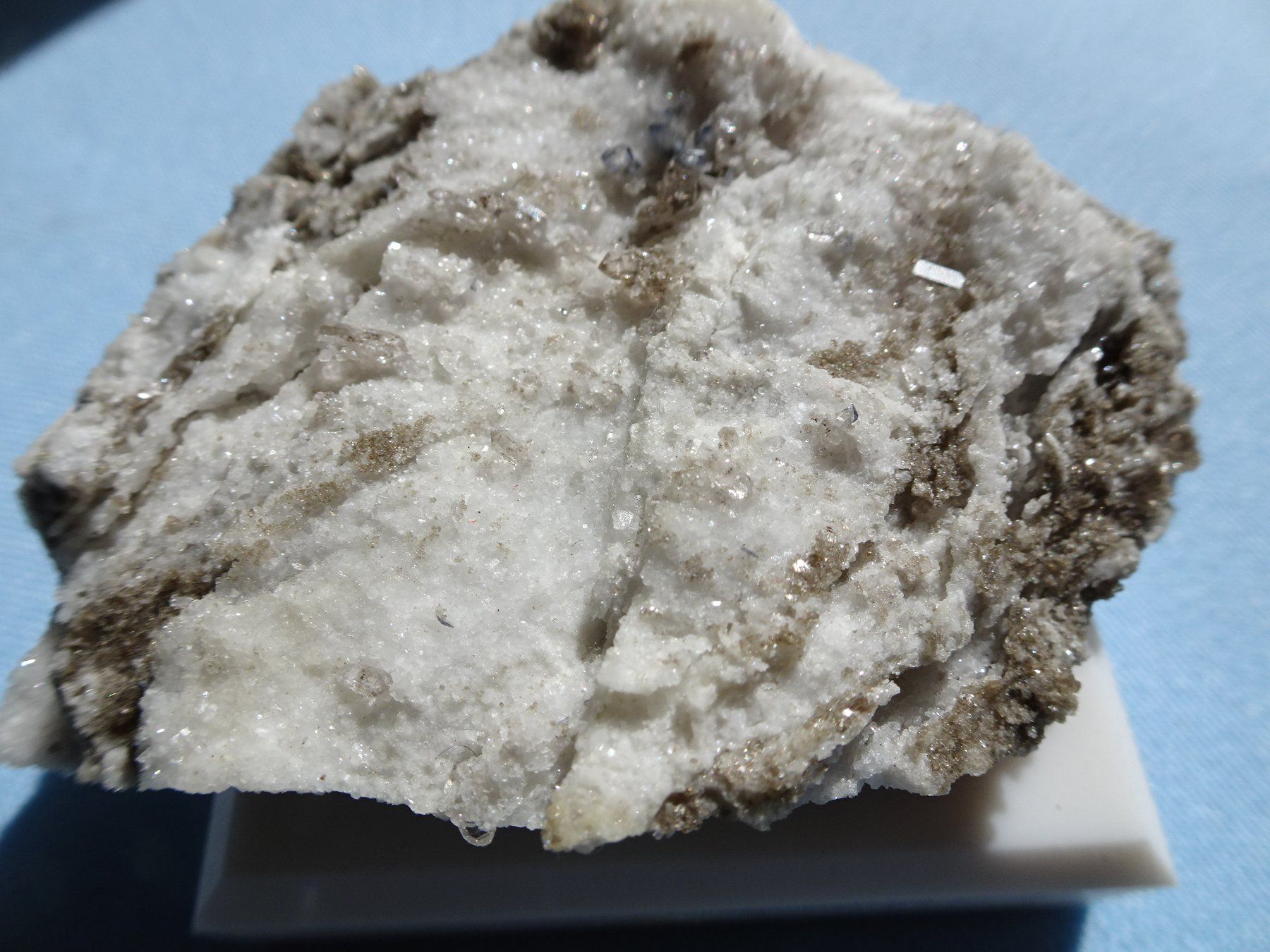 Minerali & Pietre curative: Blaue Titanit Val Maigels  Selten – Nuovo (secondo la descrizione) da martina venduto da Tignuppa 1