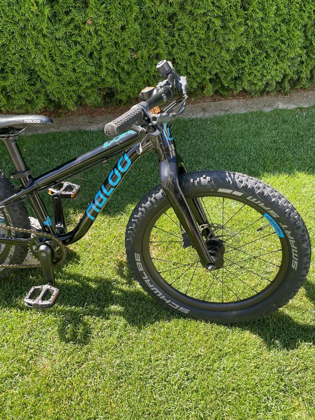Naloo Biciclette: Kindervelo NALOO Hill Bill 20" – Usato da Rothenburg venduto da Yolanda4 1