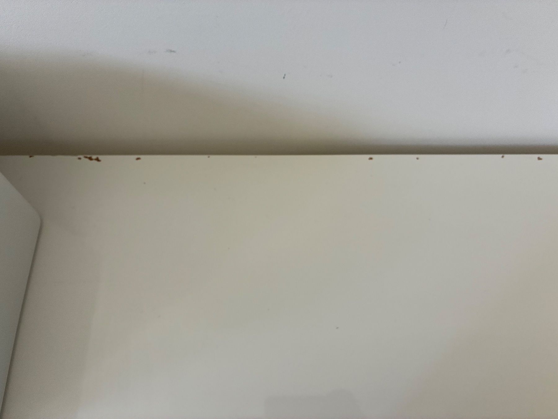 Ikea Scaffali: Kallax hochglanz weiss – Usato da Saland venduto da Francyherrera 1