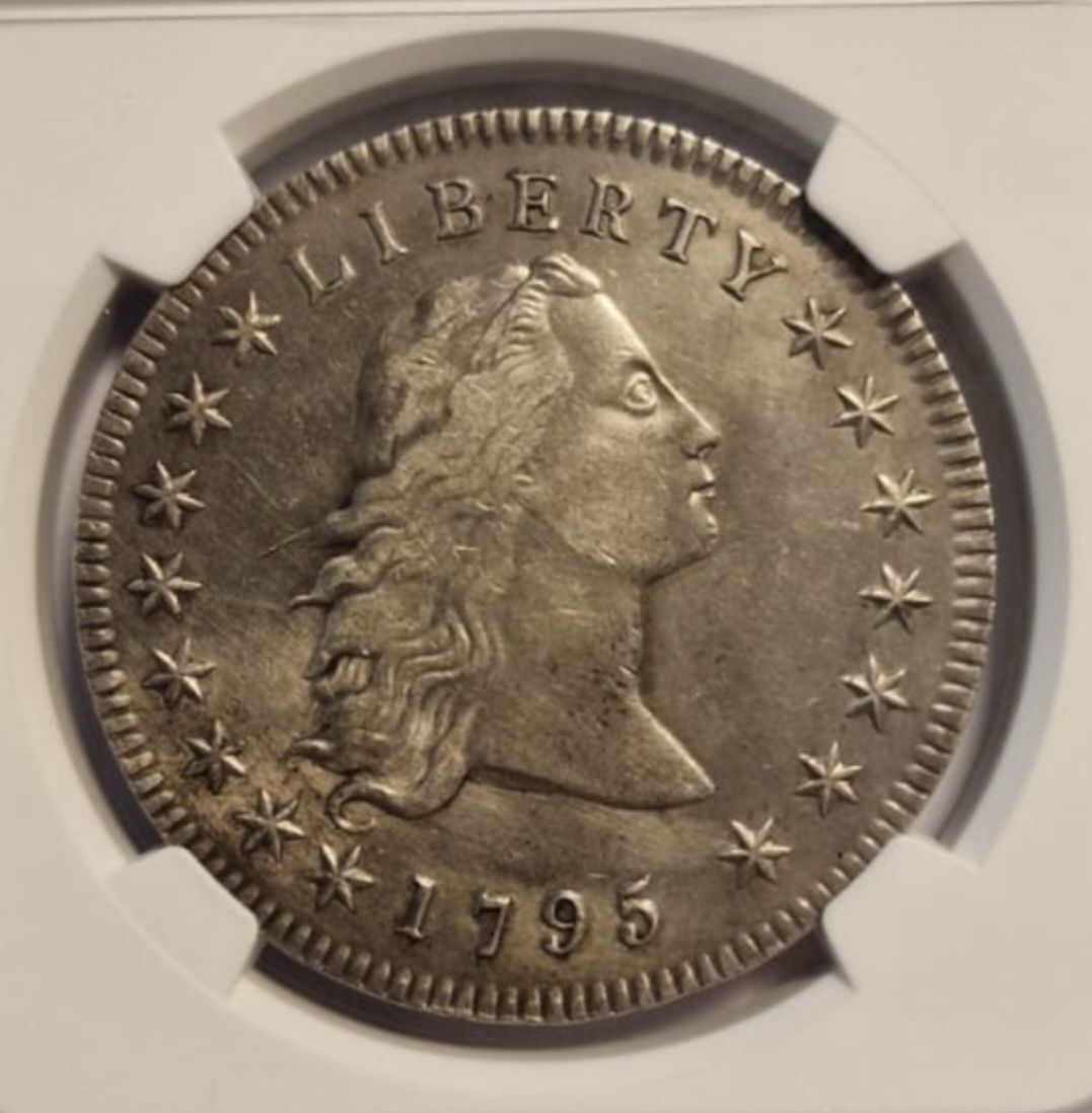 Tutti le monete: 1 Dollar Flowing Hair 1795 – Nuovo (secondo la descrizione) da Nyon venduto da FrodoSkywalker 1