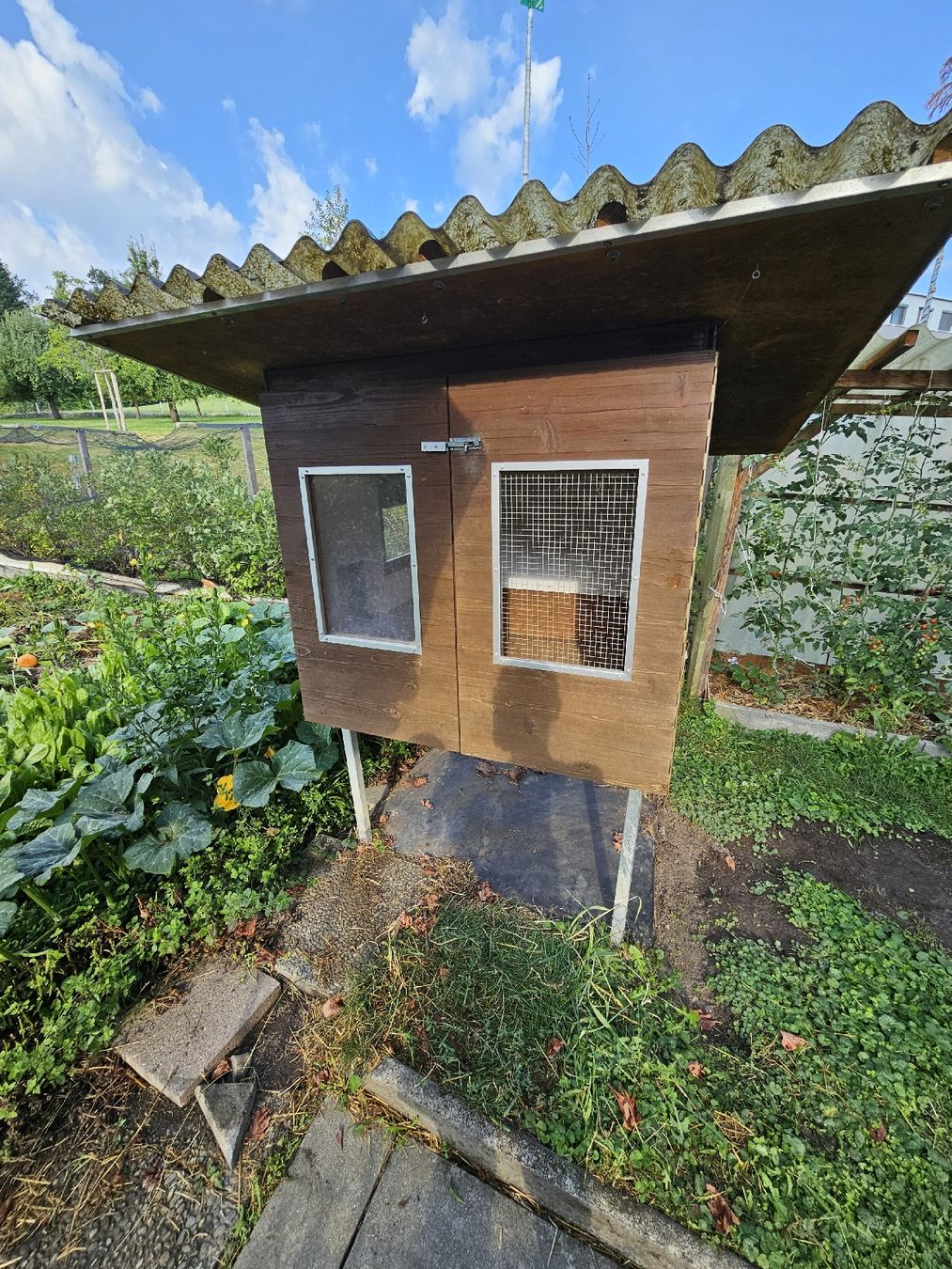Gabbie, trasporto & Sicurezza: Hühner /Hasen Stall – Usato da Rotkreuz venduto da jasii48