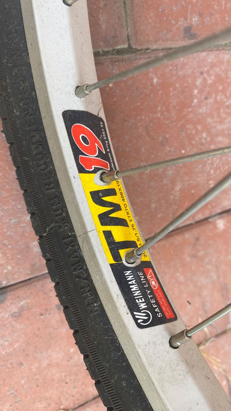 Biciclette: Jugend/Erwachsenen-Einrad, 20 Zoll – Usato da Windisch venduto da wolfika 2