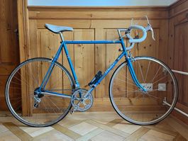 FRANCESCO MOSER - Super Prestige -RH 52cm