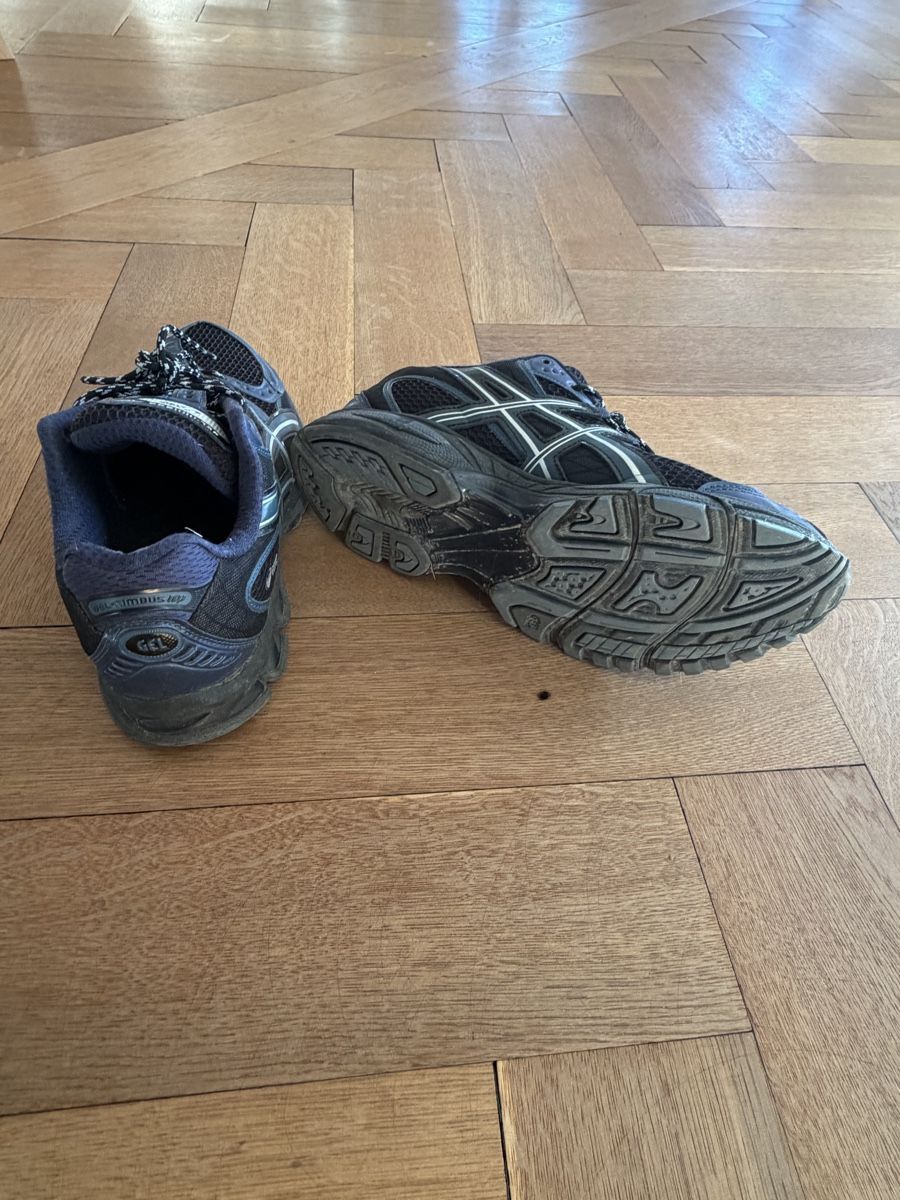 Asics Scarpe da uomo: Asics Gel Nimbus 10 – Usato da Basel venduto da alpenluft 2