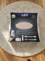 smart ap Control Lampe