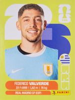 Panini FIFA World Cup URU 10
