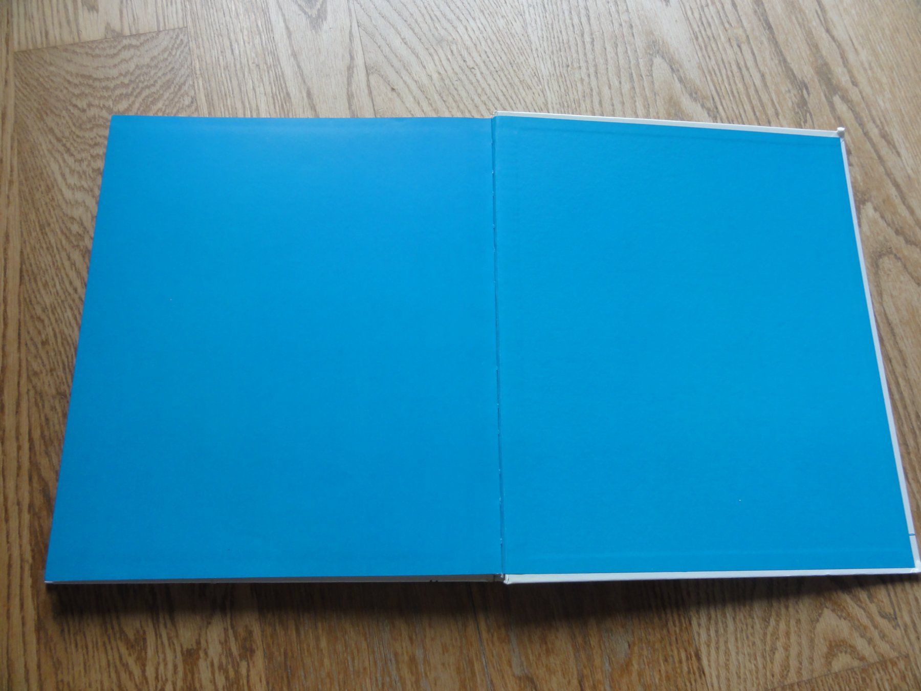 Libri: Die grossen Entdecker – Usato da Riedholz venduto da Taweva 6