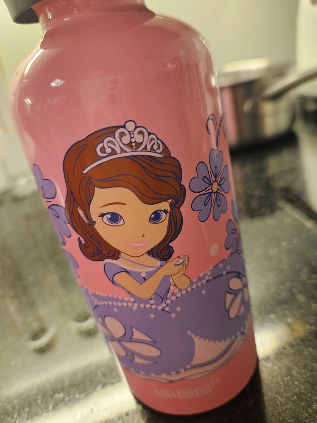 Sigg Borracce & Thermos: Sigg KBT Disney - SOFIA the first - NEU – Nuovo (secondo la descrizione) da Niederbipp venduto da FeenWERK 2