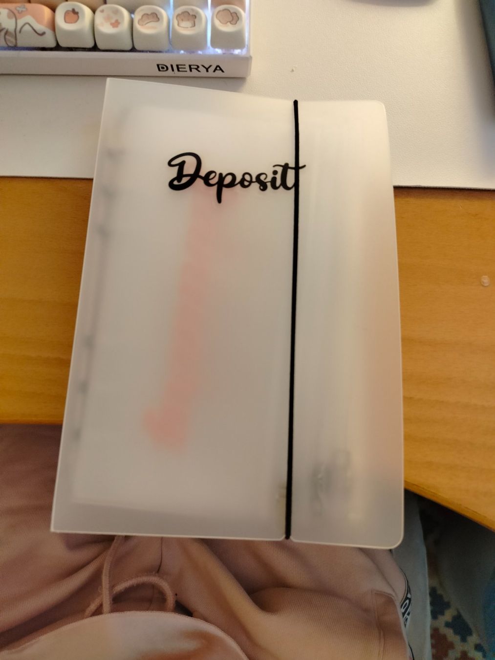 Libri: Raccoglitore ad anelli con buste trasparenti – Usato da Chiasso venduto da Sasy2001 1
