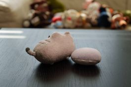 Peluches Pusheen the Cat & Totoro