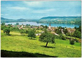 Schloss MAMMERN/TG am Bodensee-Untersee ca. 1970