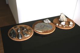 Sammlung diverser versteinerter Fosillien