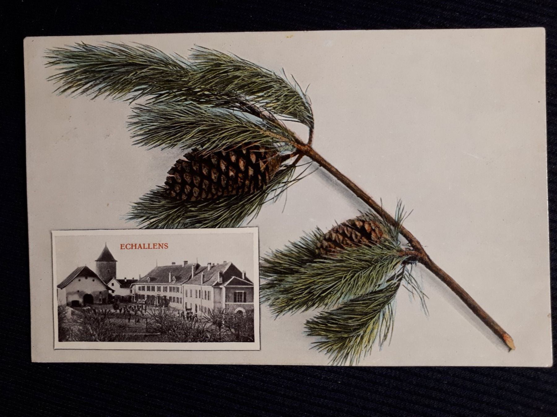 Cartoline postali: ECHALLENS 1908 – Usato da Ponto Valentino venduto da giorgia06