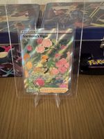 Pokémon Gardenia's Vigor 