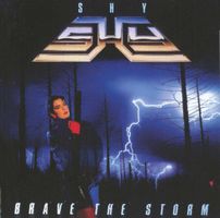 Shy – Brave The Storm