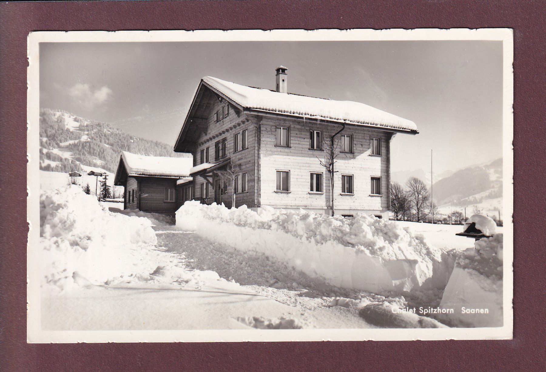 Ansichtskarten: SAANEN - Chalet Spitzhorn - 1960 – Gebraucht aus Pully von nicecards