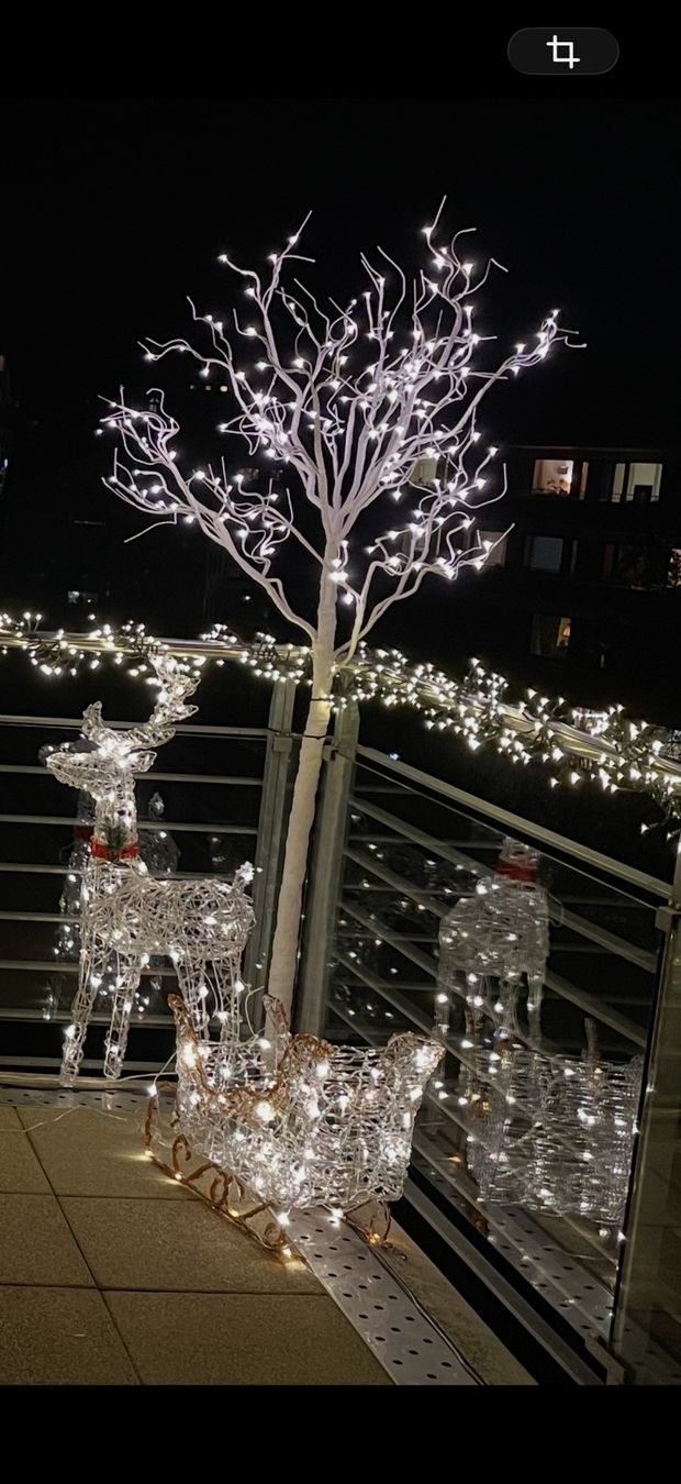 Pfister Tutte le decorazioni: LED- Weihnachtsbaum 180cm – Usato da Liestal venduto da Butterfly_333