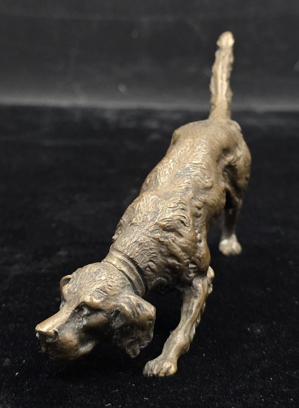 Sculture & Statue: Bronze Skulptur Hund – Usato da Rorschacherberg venduto da snOOpydOg11 1