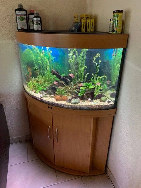 Juwel Acquari: Eck Aquarium Trigon 190 – Usato da Grenchen venduto da stefport 1