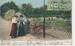 Genève - Parc de l'Ariana + 1904