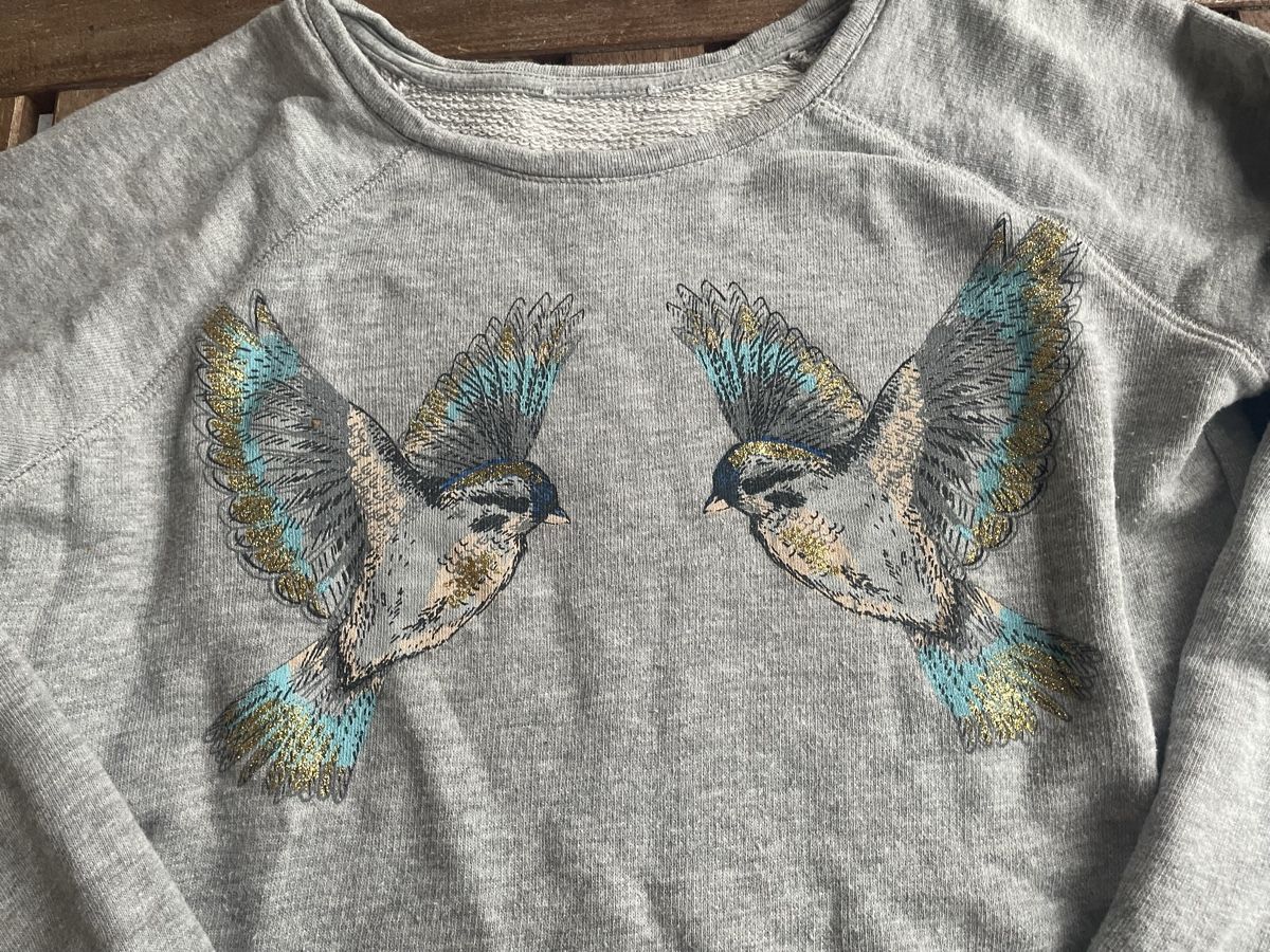 Pullover & Sweatshirts: Sweatshirt mit Vogelprint 152/158 – Gebraucht aus Bern von brup 2