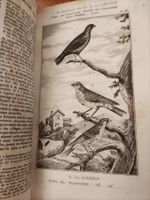 Oeuvres Complètes de Buffon I und II Oiseaux Vögel 1835