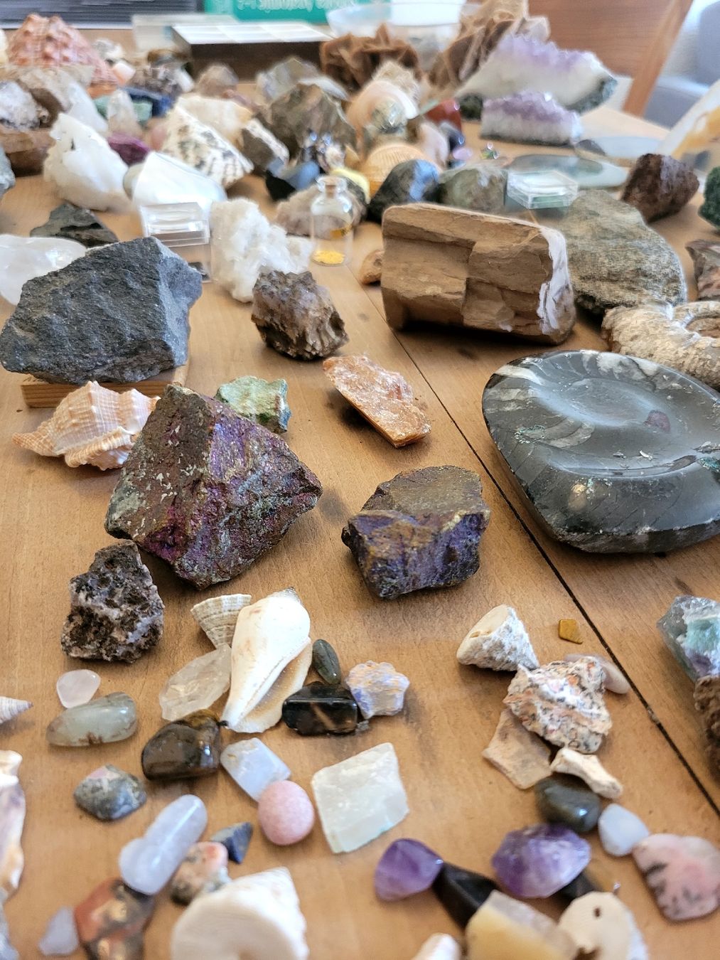 Pietre preziose: Sammlung Halbedelsteine, Ammoniten, Muscheln – Usato da Bern venduto da MoeDoe 5