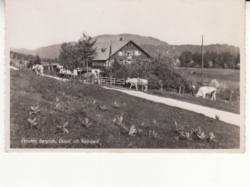 Cartoline postali: Ebnet Bergruh 1942 – Usato da Bürglen TG venduto da StampGraf