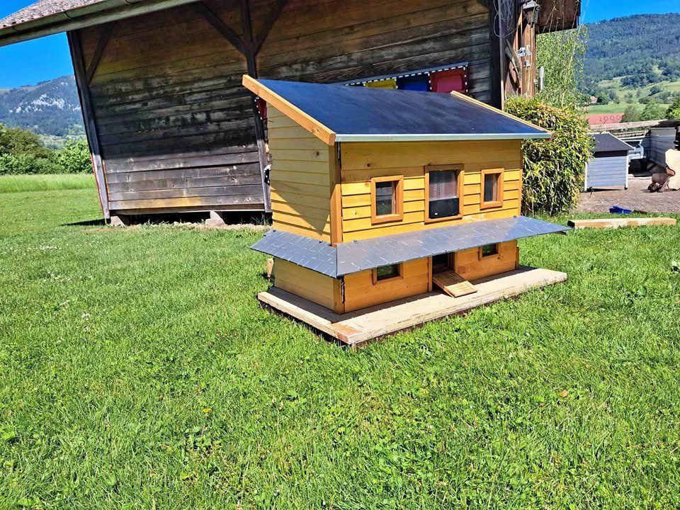 Gabbie, trasporto & Sicurezza: Meerschweinchenstall Hühnerstall Hasenstall – Usato da Steg im Tösstal venduto da Schattentaler