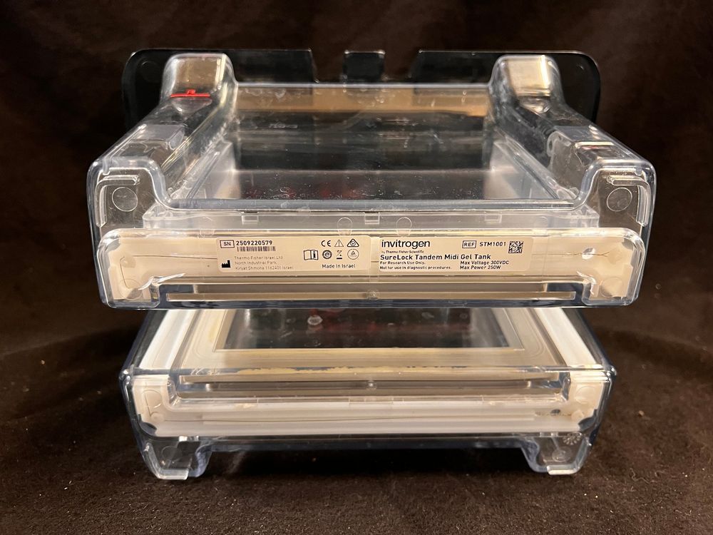 Thermo Fisher invitrogen SureLock Tandem Midi Gel Tank Kaufen auf Ricardo