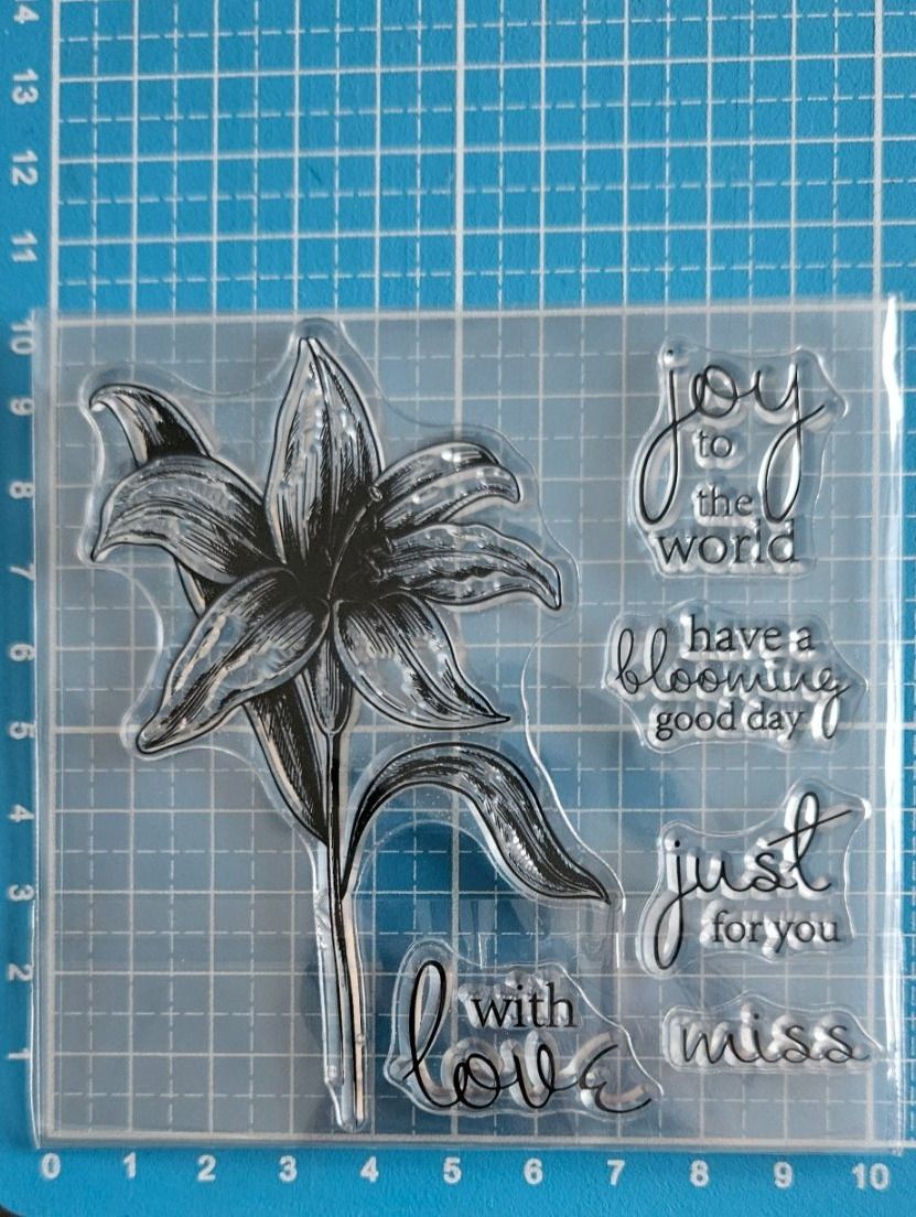 Timbri: Silikonstempel Nr.569, Blume und Texte – Nuovo e nell'imballaggio originale da Gretzenbach venduto da Fliegepilz56 1