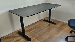 Schreibtisch elektrisch verstellbar 160x80cm / IKEA BEKANT