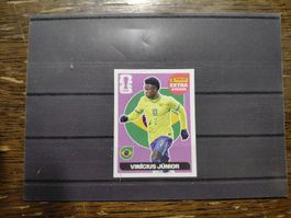 Panini WM 26
