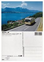 Gunten Sigriswil Thun Thunersee Bern Bus STI SAURER SH560-25